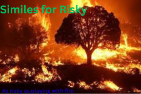 Similes for Risky with meanings and examples
