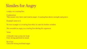 Similes for Angry with meaning