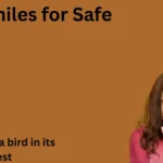 Similes for Safe with Meanings and Examples