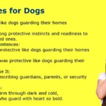 Amazing Similes for Dogs You’ll Love Using in Writing